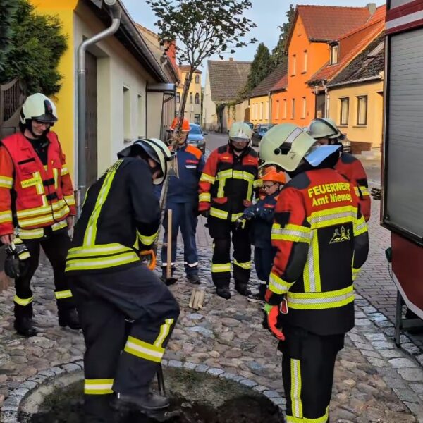 Feuerwehren pflanzen Bäume – Baupflanz-Challenge auch bei uns