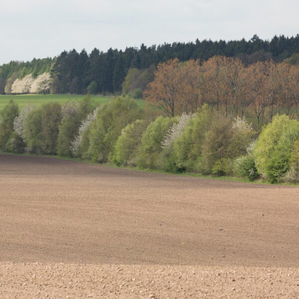 Seminar „Fachgerechte Heckenpflege in der Landwirtschaft“