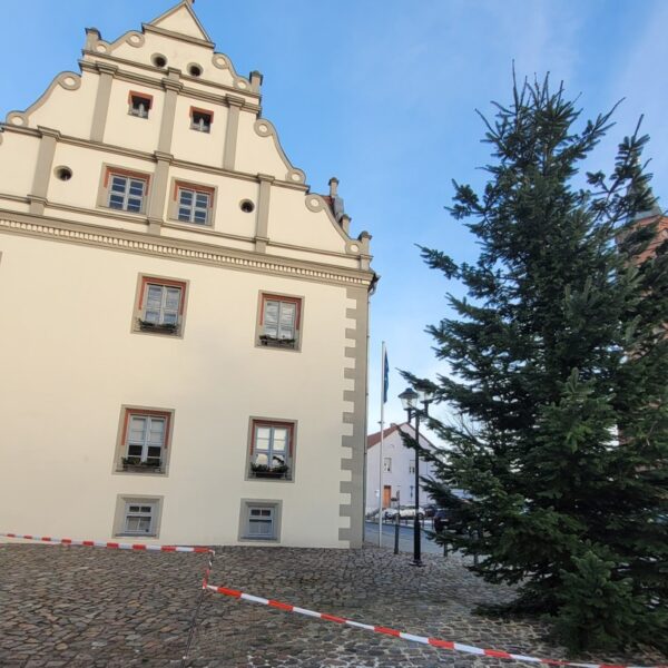 Weihnachtsbaum erstrahlt am Niemegker Rathaus