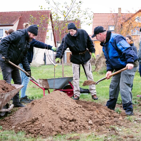 Streuobstpflege im Naturpark Hoher Fläming  – Seminarangebote zu Pflanz- und Altbaumschnitt
