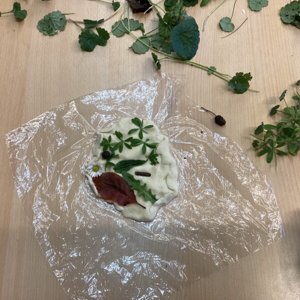 Kleine Kräuterkundige in Aktion