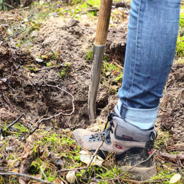 Pflanzaktion am Kugelfangweg erfolgreich abgeschlossen – 250 junge Laubbäume stärken den Stadtwald