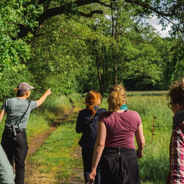 Neuer Zertifikatslehrgang „Natur- und Landschaftsführende“ für den Naturpark Hoher Fläming, den Naturpark Nuthe-Nieplitz und das Wildnisgebiet Jüterbog