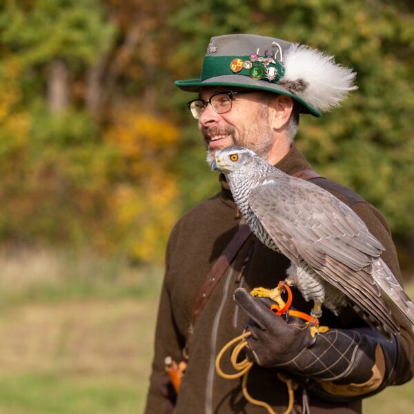 Fläming-Falknerei an der Burg Rabenstein öffnet am 1. April 2026 wieder ihre Tore