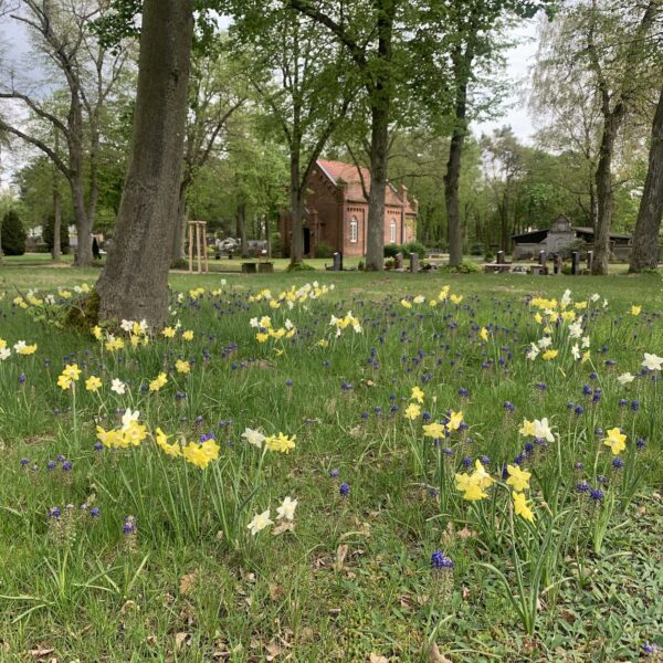 Der Frühling ist da! – Saisonstart der Initiative „Lebendiger Friedhof Niemegk“