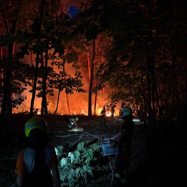 Extremwetter und Dauereinsatz: Feuerwehren des Amtes Niemegk absolvieren zehn Einsätze an nur einem Wochenende